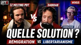 Miniature : DABIDAB vs MELTING POT : RÉMIGRATION, LIBERTARIANISME… qui a une vraie solution ?