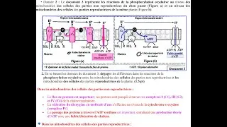 Miniature : Bac PC Correction examen 2025
