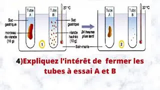Miniature : exercice digestion expérience تمرين الجهاز الهضمي    3.