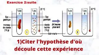 Miniature : EXERCICE DIGESTION.  تمرين الجهاز الهضمي