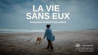 Miniature : La mort d'un animal de compagnie : comment surmonter le deuil ? Notre documentaire "La vie sans eux"