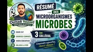 Miniature : 🦠 Les Micro-organismes | Résumé Complet – 3ème Année Collège (SVT)