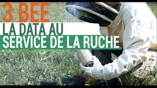 Miniature : Lumières Sur #10 : Sauver les abeilles avec 3BEE !