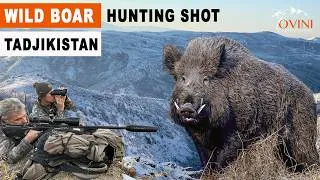 Miniature : Défi et émotion au Tadjikistan : Gros sangliers en montagne