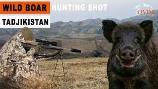Miniature : 👉 GIANT BOARS Tajikistan  🇹🇯 – Chasse de nuit incroyable (jusqu’à 180 kg !) 🔥