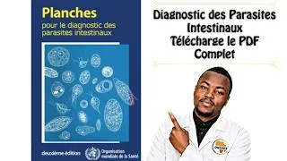 Miniature : Téléchargez la Planche Complète pour le Diagnostic des Parasites Intestinaux