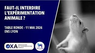 Miniature : Table ronde – Faut-il interdire l' #ExpérimentationAnimale ? – ENS Lyon, 11/05/2026