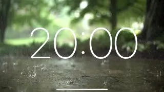 Miniature : Rain & Thunder | Ambience ASMR | For sleeping or relaxing | 20 MINUTES