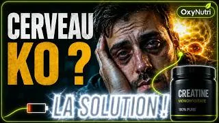 Miniature : Créatine, fatigue mentale et manque de sommeil : ce que disent les études