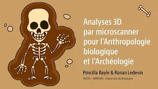 Miniature : Analyses 3D par microscanner pour l'anthropologie biologique et l'archéologie