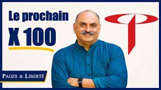 Miniature : Le plus gros pari de Mohnish Pabrai (potentiel x100)
