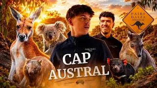 Miniature : 🦘CE MONDE EST REMPLI D'ANIMAUX RARES ! 🤩 - Le Cap Austral