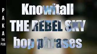 Miniature : Knowitall & bop phrases - Hart Island feat. The Rebel Sky (One shot, No edits)