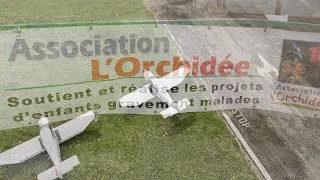 Miniature : Orchidée à l'aéroclub de Morestel - 2025