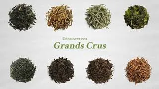 Miniature : GRANDS CRUS