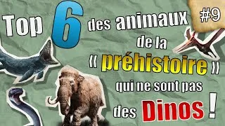 Miniature : Paléo-J #9 : TOP 6 des animaux de la "Préhistoire" qui ne sont pas des DINOS !