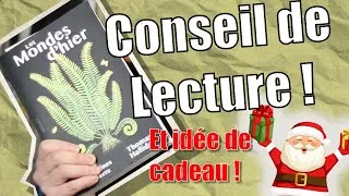 Miniature : Une idée de cadeau pour Noël ? Conseil de Lecture #6