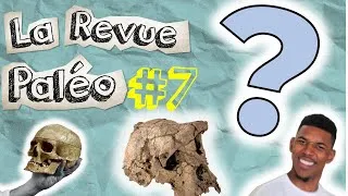Miniature : LA QUESTION à 7 millions d'années - Revue Paléo #7