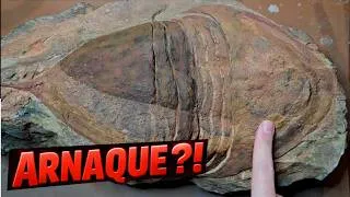 Miniature : Ce trilobite est une arnaque ?