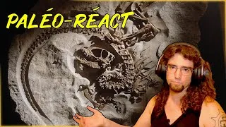 Miniature : PALEO REACT : UN NOUVEAU DINOSAURE FRANÇAIS ?