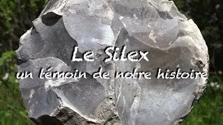 Miniature : Le silex, un témoin de notre histoire