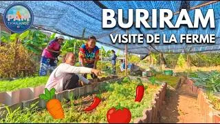 Miniature : 🚜 BURIRAM : Immersion dans la THAÏLANDE RURALE et ses Temples 🇹🇭✨
