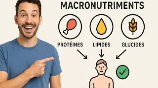 Miniature : Les bienfaits des macronutriments protéines, lipides, glucides sur le corps