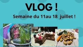 Miniature : Vlog une semaine dans mon quotidien !