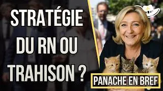 Miniature : Le RN, un parti de nuls ? Faut-il soutenir le RN en 2027 ? Pour qui voter à la présidentielle ?