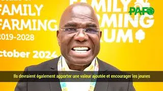 Miniature : PAFO CEO Declaration