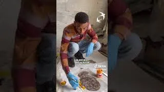 Miniature : Untitled video