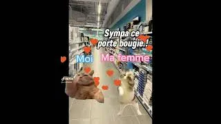Miniature : Les courses à Action #humour #funny