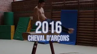 Miniature : 2016 Gym Arçons - Alex Deneka