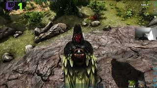 Miniature : #158 Ark Evolved Péter un Alpha 135 Raptor 14 06 26 FR