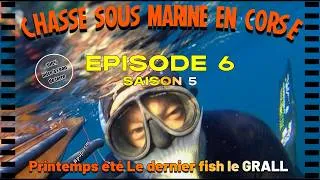 Miniature : [SAISON 5 ÉP6] Le GRAAL pour finir la saison Chasse sous marine CORSE #papicsm