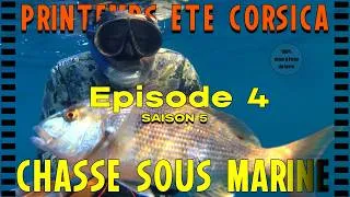 Miniature : Enfin un tir propre sur un DENTI [SAISON 5 ÉP4] Chasse sous marine CORSICA #papicsm