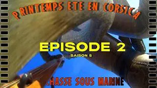 Miniature : Chasse sous marine en CORSE du sud [SAISON 5 ÉP2] LE GRAAL  #papicsm