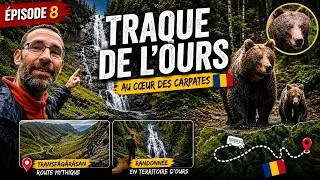 Miniature : TRANSFĂGĂRĂȘAN : RANDONNÉE EN TERRITOIRE D'OURS 🐻
