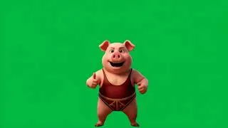 Miniature : The pig is happy 4K green screen #funnyvideo #funnyanimal