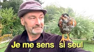 Miniature : Papy Nounn et mes poules 💔🐓