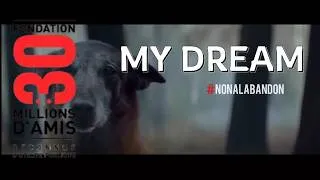 Miniature : My dream ( @Fonda30MillionsdAmis )