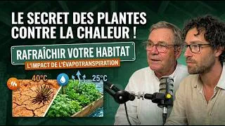 Miniature : Contre les canicules EP2 : La végétation qui marche vraiment !