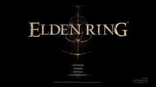 Miniature : Twitch stream of Elden Ring 17/04