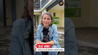 Miniature : Chloé Bernet évoque les actions de Nature océan Indien pour protéger le gecko de Manapany