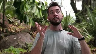 Miniature : Camtrap - programme scientifique d'étude de densité de jaguar à Saül