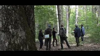 Miniature : SylvoTrophée 2026 : la forêt de la Faysse des Mazes