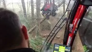 Miniature : A bord d'une abatteuse dans la forêt de Rocanti (Causse Méjean)