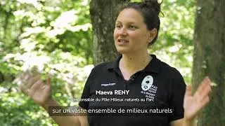 Miniature : Une nouvelle vie pour la briqueterie du Vertin !