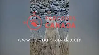 Miniature : [ VIDÉO CLIENT ] VOTRE VOYAGE EN IMAGES l LE GRAND NORD
