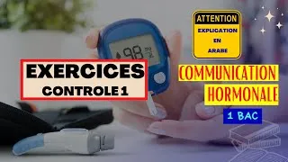 Miniature : Exercices la régulation de la glycémie 1ère BAC (exercices et contrôle communication hormonale)